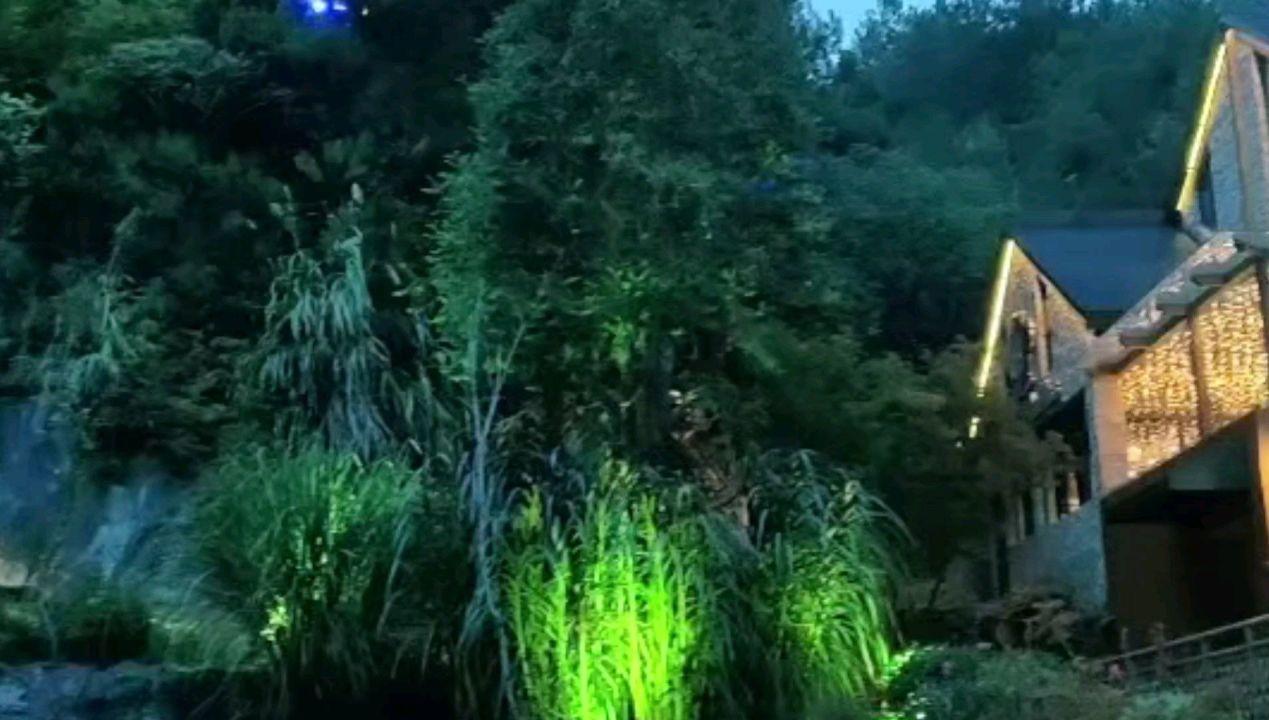动物帮帮忙保卫家园